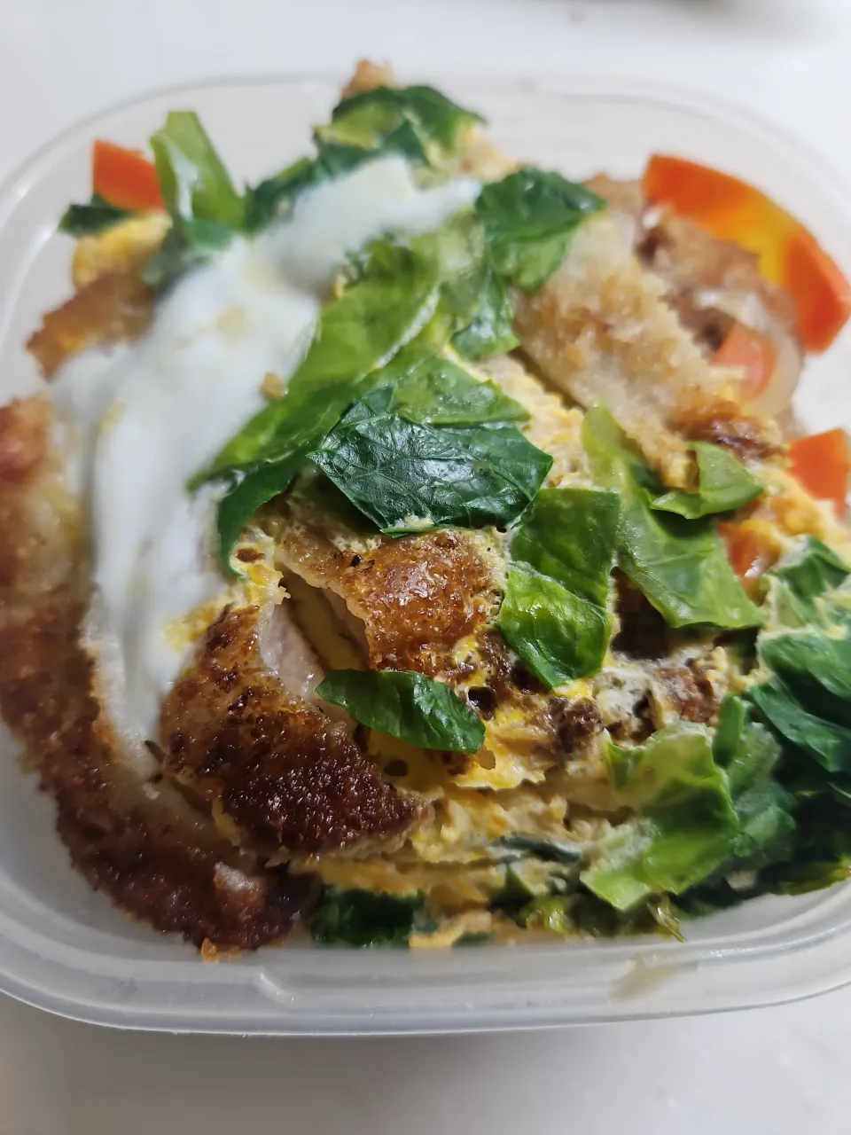 ☆高校生弁当☆カツ丼|ｼｮｺﾗさん