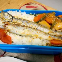 2025/11/6(木)弁当|ご飯はん♪さん