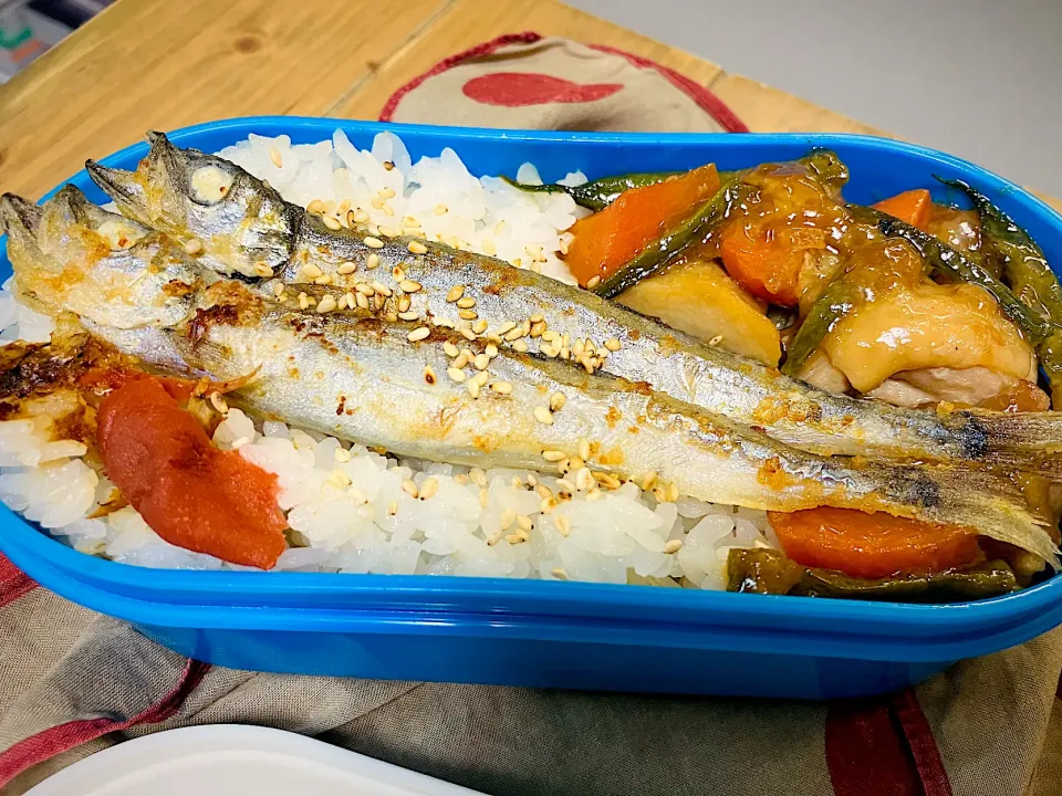 2025/11/6(木)弁当|ご飯はん♪さん