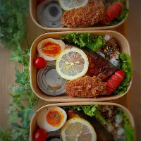 今日のお弁当| みゆき𐤔(◍´͈ ᵕ `͈ ◍)𐤔さん