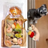 あんかけ焼きそば弁当|cafe3733さん