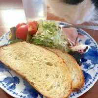 モーニング|chieko ♪さん