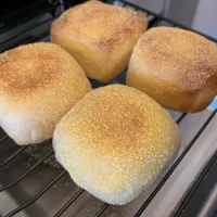 ま四角イングリッシュマフィン|らぴすらずり(らぴ)さん