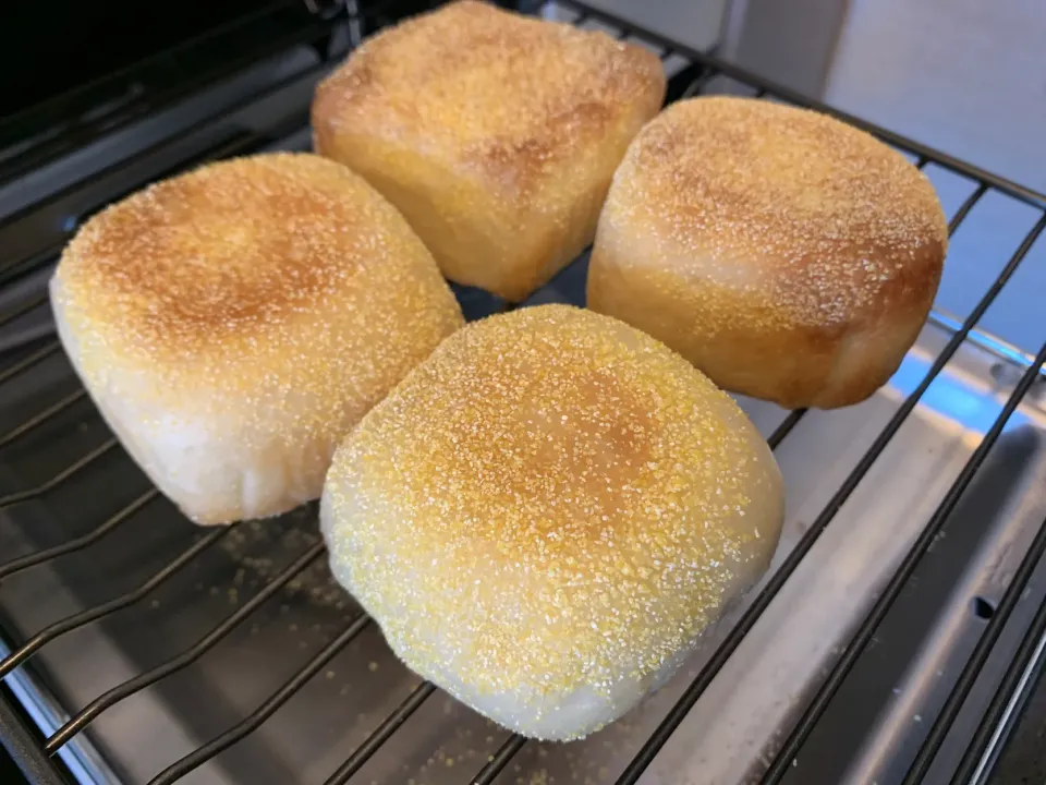 ま四角イングリッシュマフィン|らぴすらずり(らぴ)さん