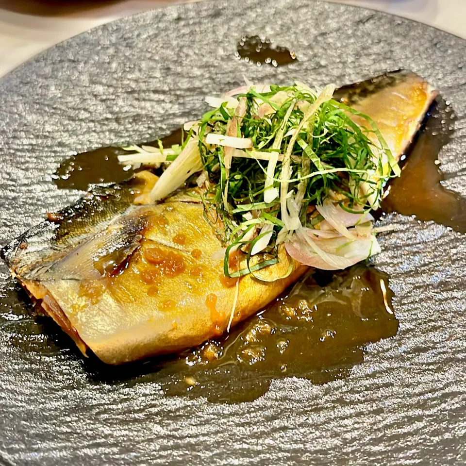 味噌煮。薬味乗せ|ぎんさん