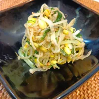 水菜と豆もやしの和え物|うーくーちゃんさん