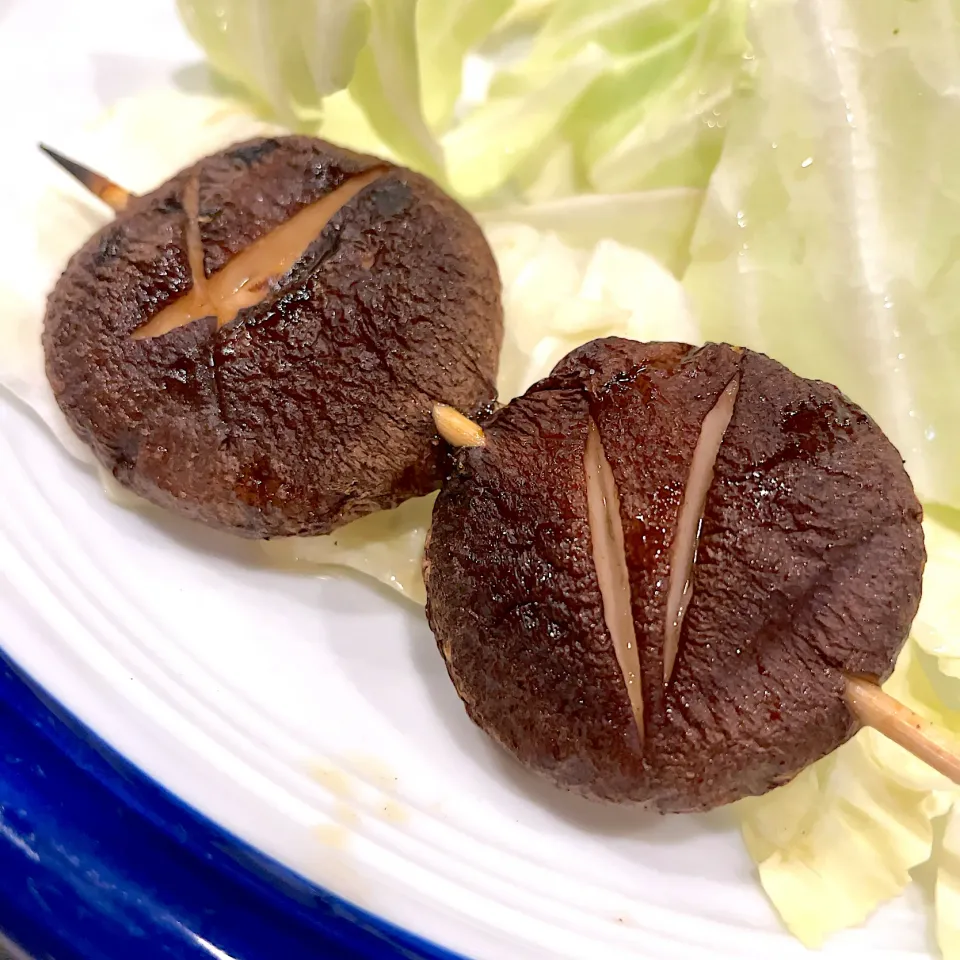 しいたけ|T. Wonderさん