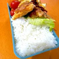 白米にあうおかず弁当|いっかくさん