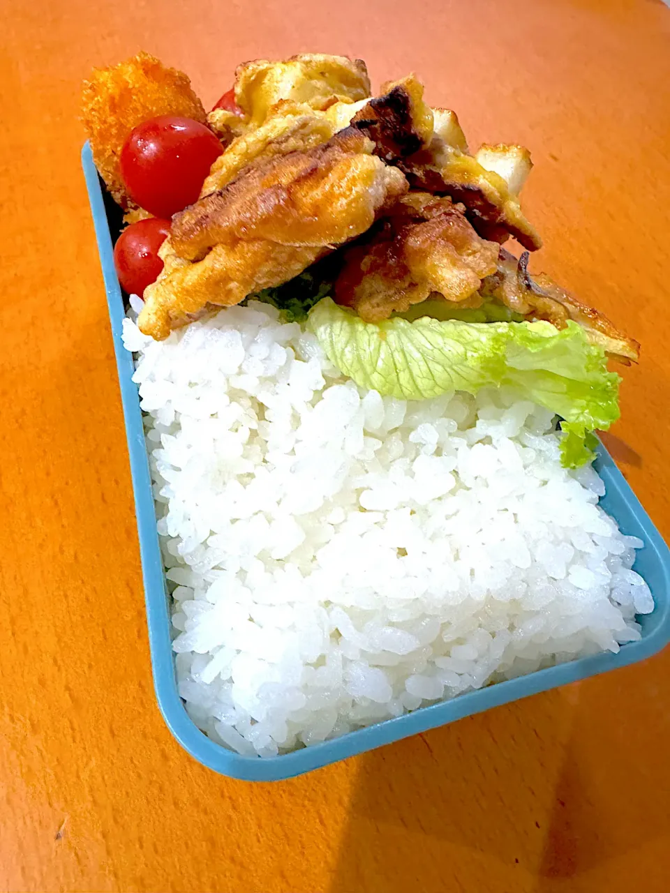 白米にあうおかず弁当|いっかくさん