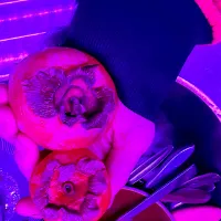 #カキ
#🟠|LNAさん