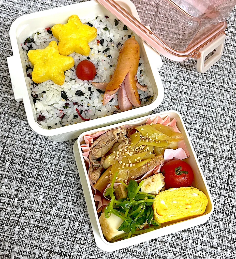 自分用お弁当|めいさん