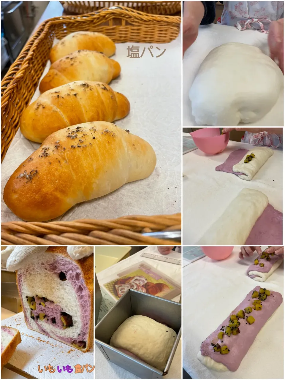 塩パン🥐                                           いもいも食パン🍠                                    #パン教室|yucca@さん