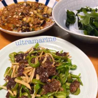 ＊青椒肉絲と麻婆豆腐、おうち中華晩ごはん♪＊|ultramarineさん