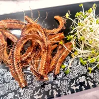 鰯の骨せんべい| foodanalystＭＩＫＩさん