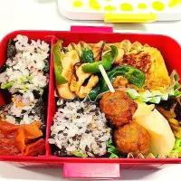 11月6日|maimaipapaさん