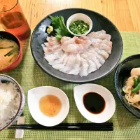 次男釣ったヒラメ|みきやんさん