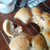 レーズン入りのちぎりパン🍇|fumfumさん