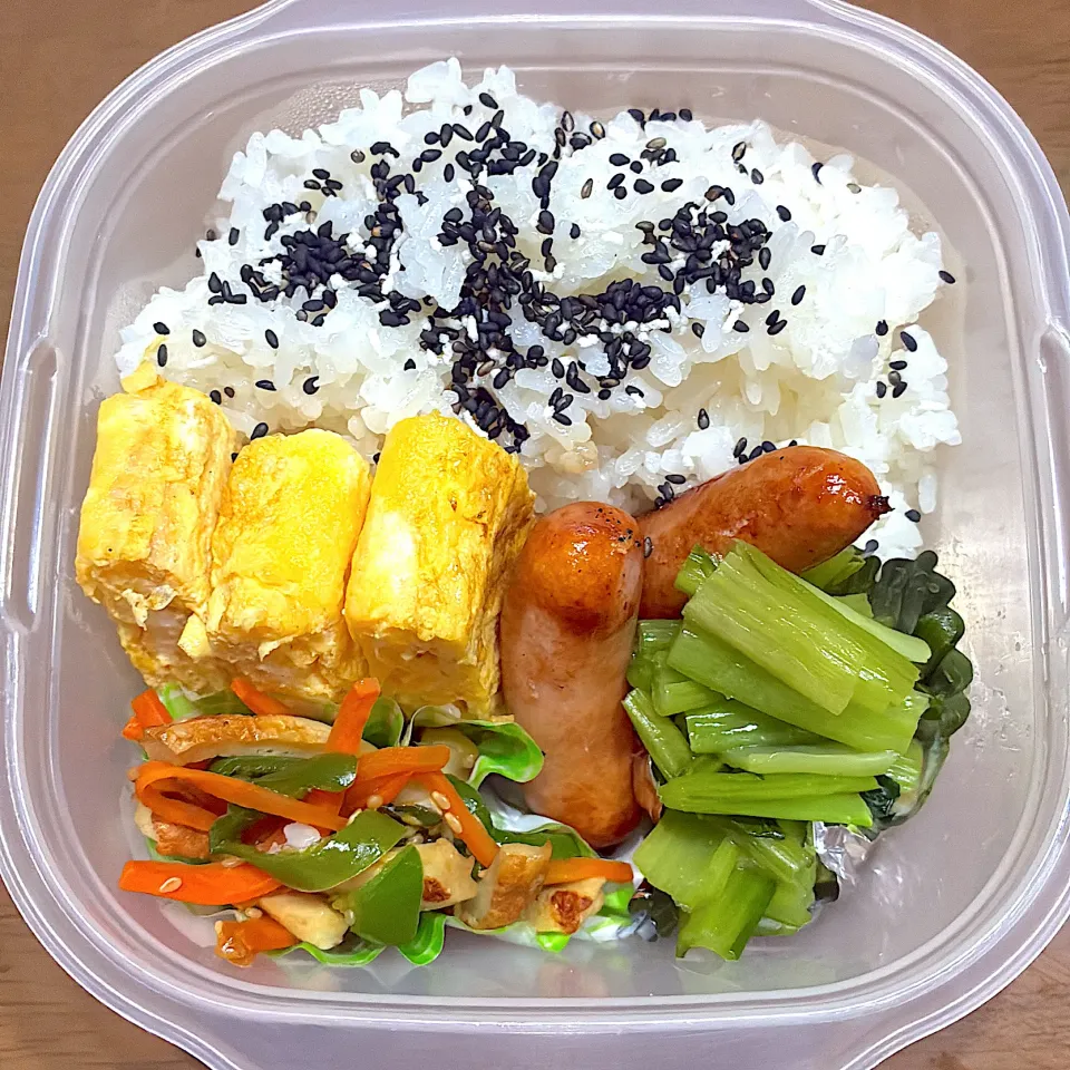 11/8お弁当|まむさん