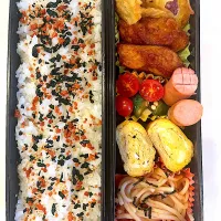 2025.11.7 (金) パパのお弁当🍱| あっきーよさん