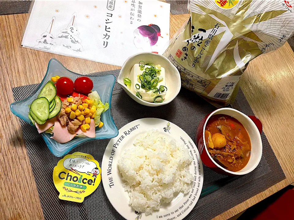 野菜たっぶりカレーライス|春 来るさん