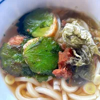 トロうまうどん✴︎長芋紫蘇巻き揚げ、おぼろ昆布、梅のせ✴︎|maricomさん