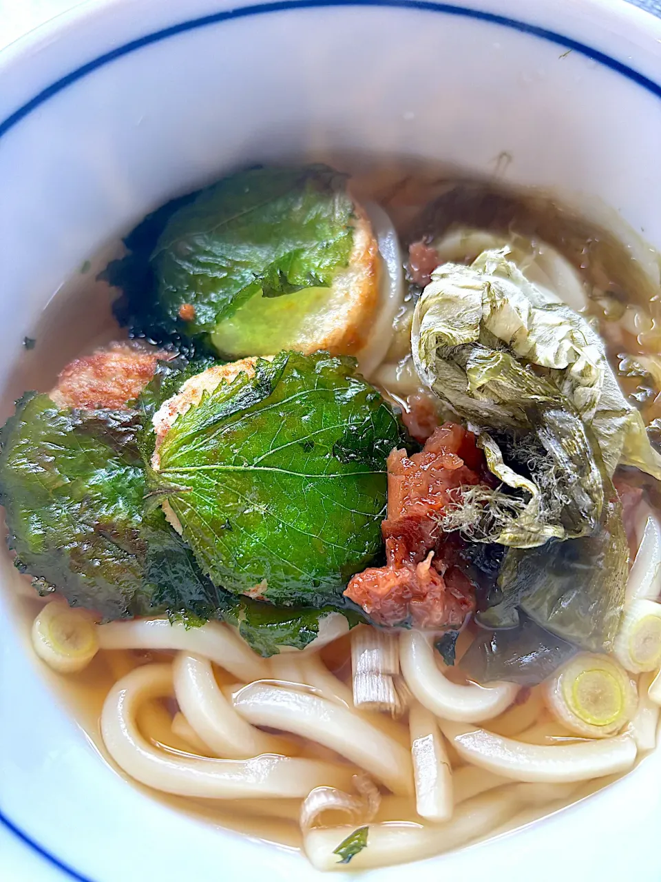 トロうまうどん✴︎長芋紫蘇巻き揚げ、おぼろ昆布、梅のせ✴︎|maricomさん