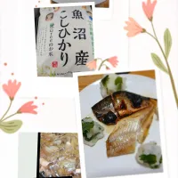 やっといただけた美味しいお米(ｏ´艸｀ｏ)💕| ぽんすけさん