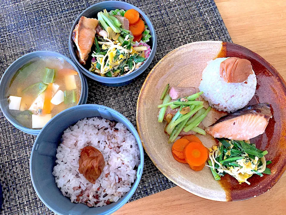 昨日の旦那さんお弁当とmyランチプレート|さくたえさん