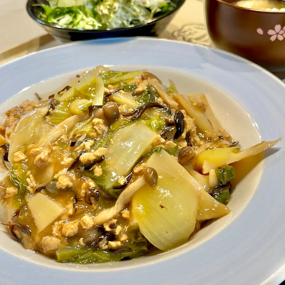 大豆ミートDEヘルシー中華丼|ぎんさん