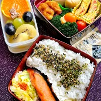 2025/11/08(土) 鮭弁当|Blueberry🫐さん