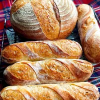 Blueberry🫐さんの料理 オーバーナイトソフトフランスパン生地