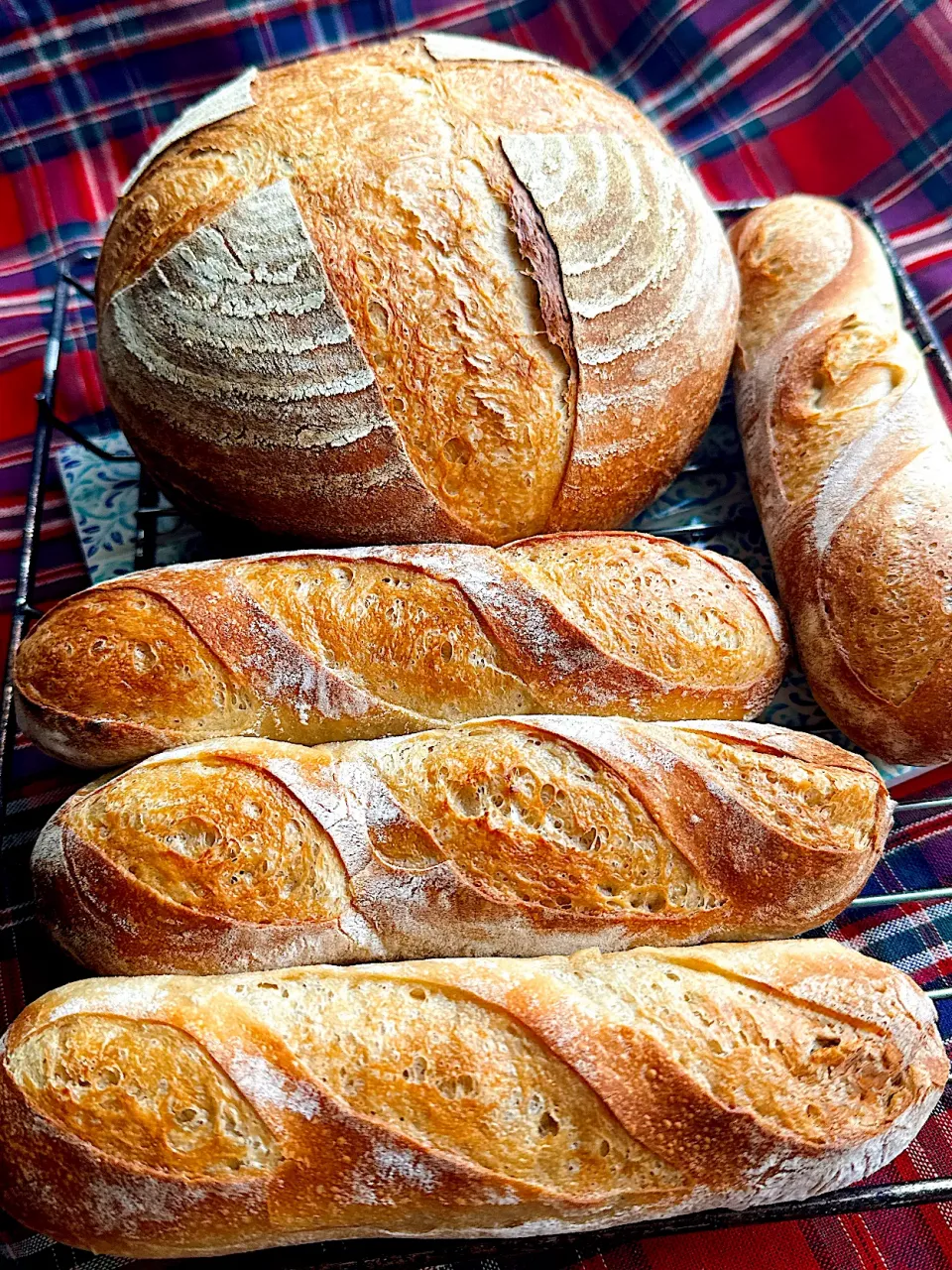 Blueberry🫐さんの料理 オーバーナイトソフトフランスパン生地|Blueberry🫐さん