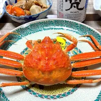 越前カニ解禁🦀|ヒロミ🏝🏝🏝🌺🏄🌊🐬🏄‍♀️🏄‍♂️🍹🐠👙🌺さん