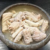 |Junichi Yamakawaさん