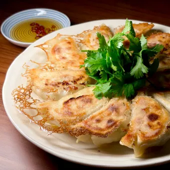 Snapdishの人気料理写真:💫レシピ💫手作り厚皮パクチー餃子