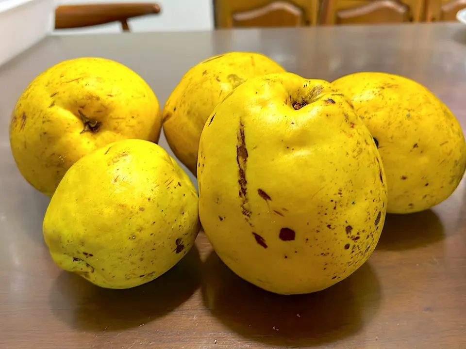 かりん|ふくぷくさん