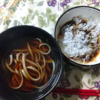 水沢うどんとシラス大根おろし|はやとさん