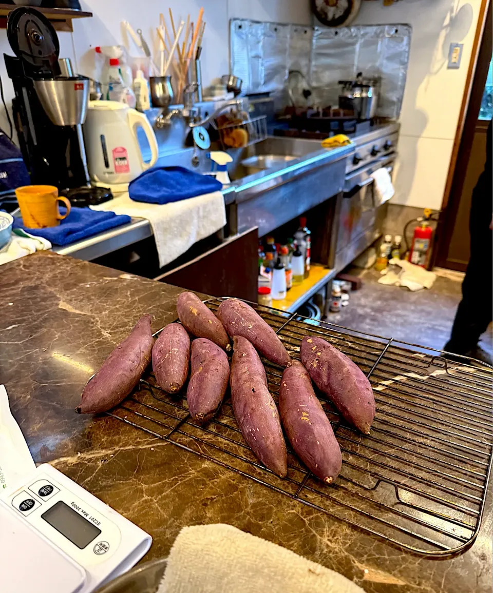 葵はるか|うみぼうずさん