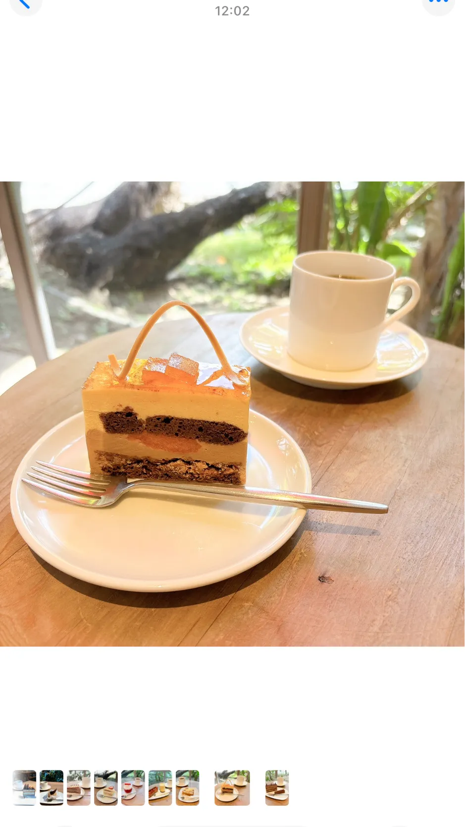 アンジーとコーヒー|ちゃみこさん