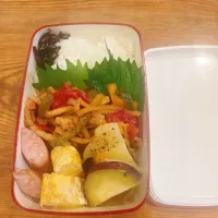 ◇本日のお弁当|ロミさん