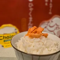 美味しい🍚✨| しあるさん