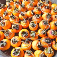 干し柿　その1|のばーきさん