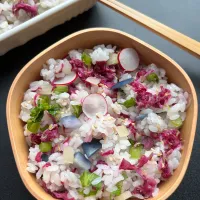 菊ちらし|acochanceさん