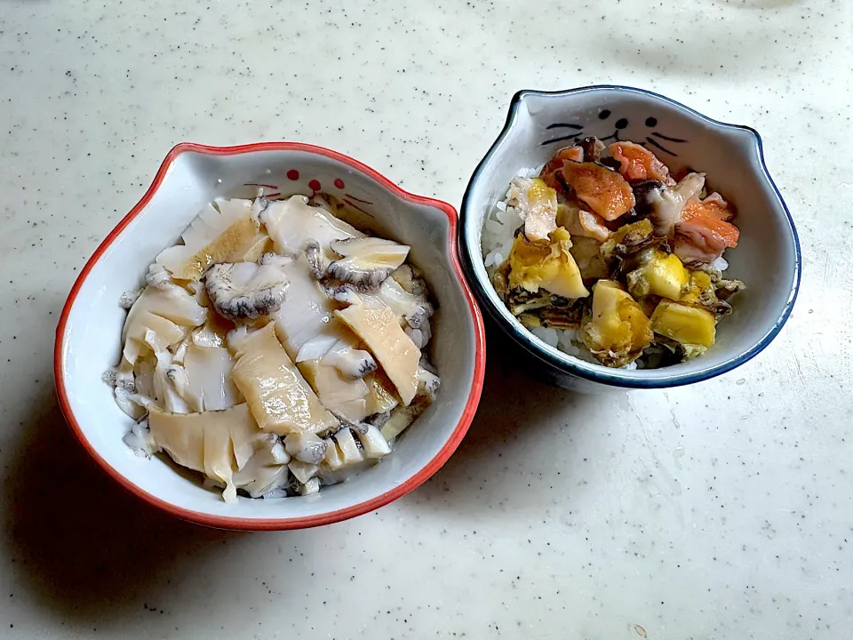 鮑丼とサザエ刺しとつぼ焼き丼|こっぷさん