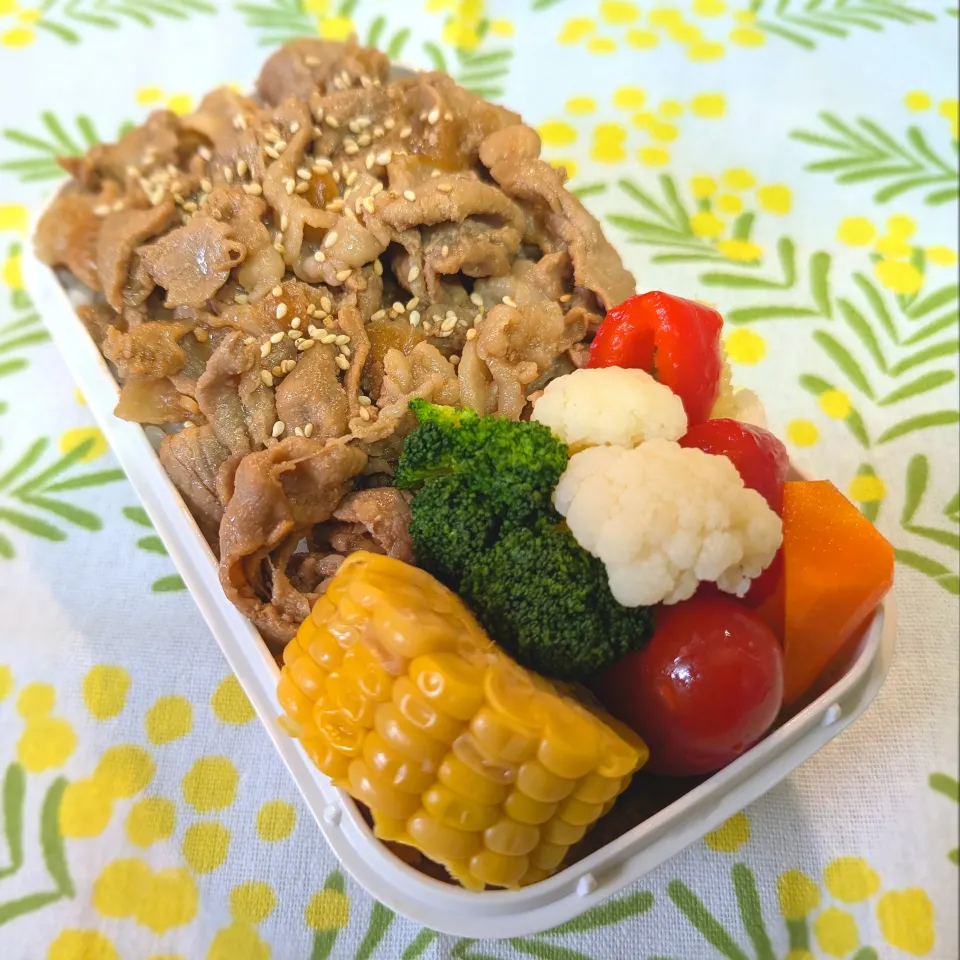 11/10 お弁当|ごるびーさん