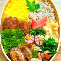 二色（錦糸卵､ほっけ）ごはん弁当🍱|にゃん(=^・^=)さん