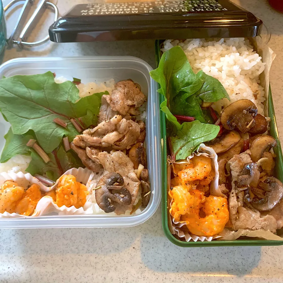 2025.11.10 高2|ぴーなさん