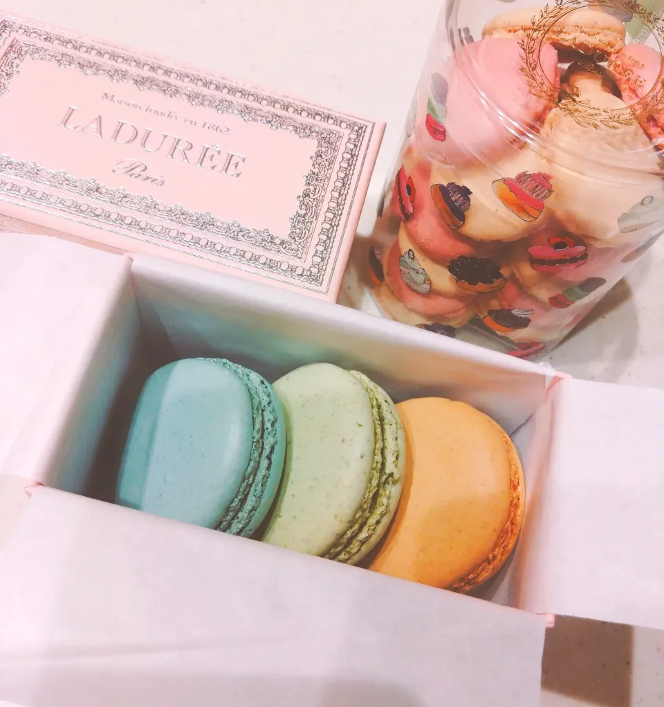 頂き物🌸マカロン|samさん