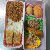 ハンバーグ/白身フライ/そぼろ弁当|あおのりさん