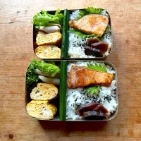 今日のお弁当‼︎ 10 November